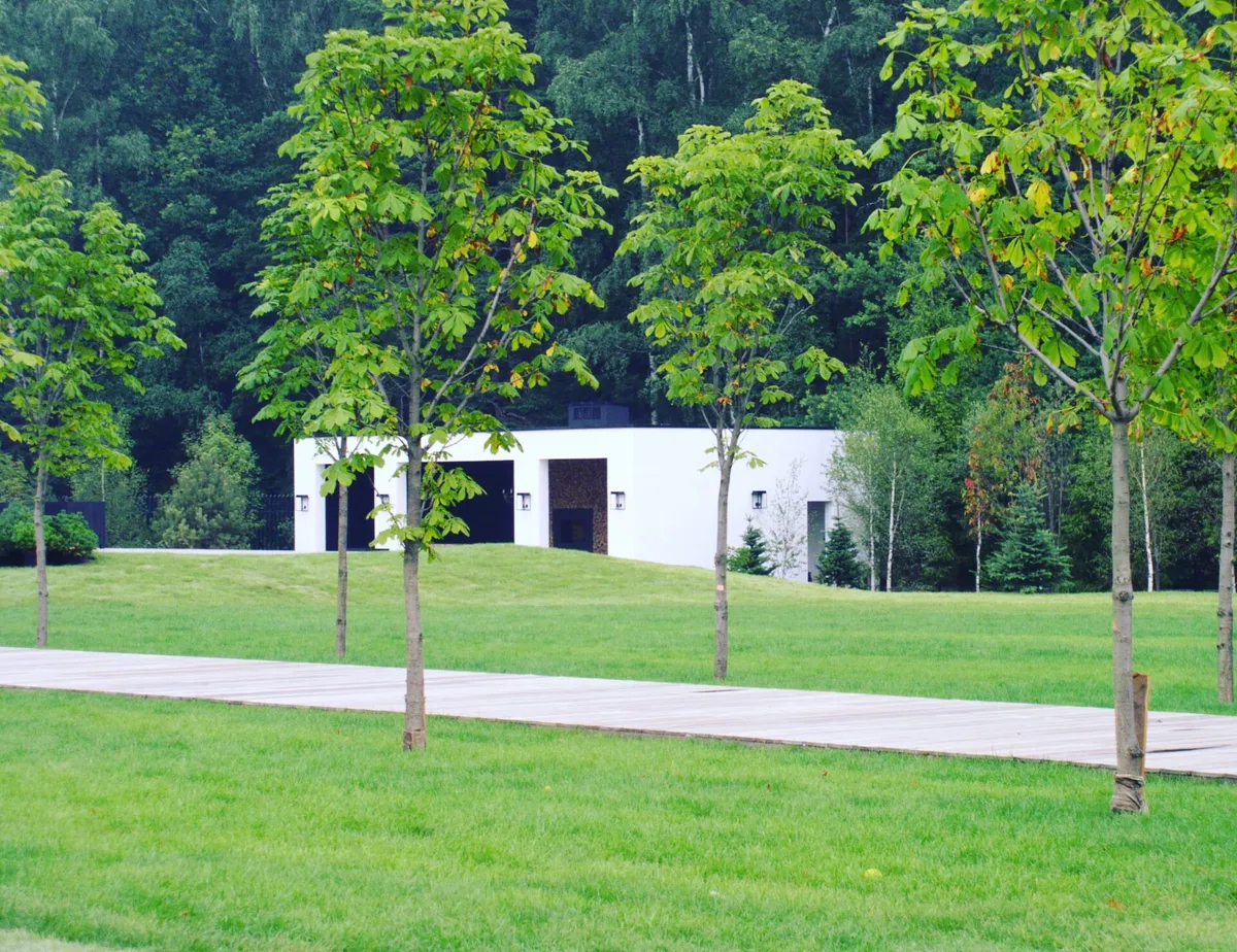 Современный ландшафт